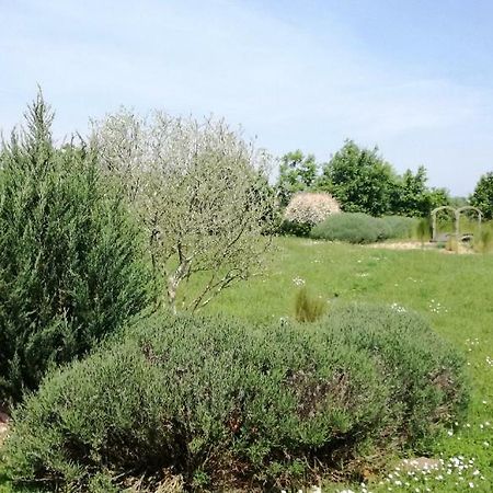 Le Grand Paradis Morannes sur Sarthe-Daumeray Eksteriør billede